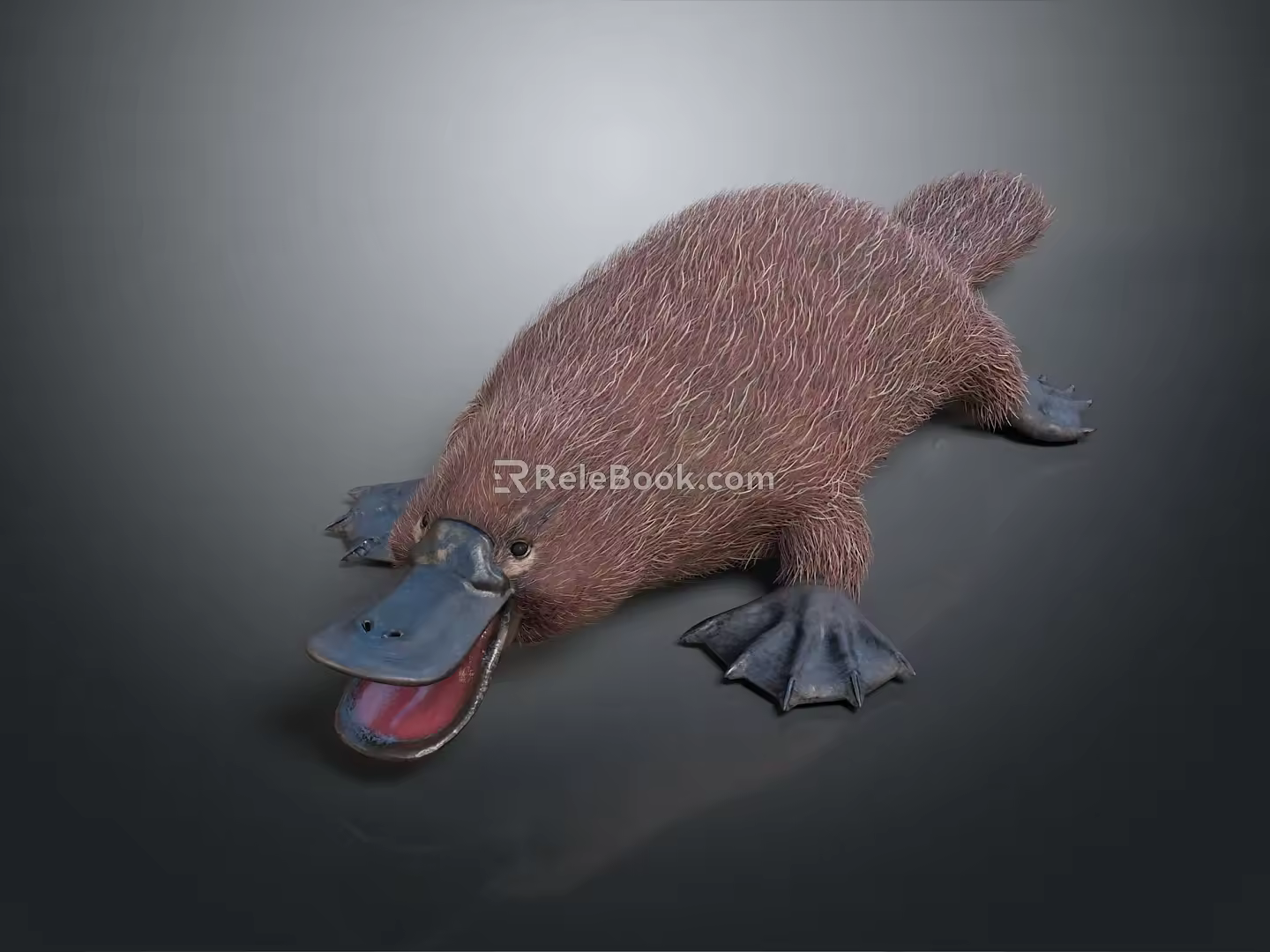 platypus red-tailed platypus leopard platypus daily necessities 3d model