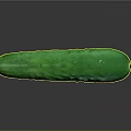 Fresh Green Cucumber with Water Droplets on Surface and Yellow Tail on Black Reflective Surface