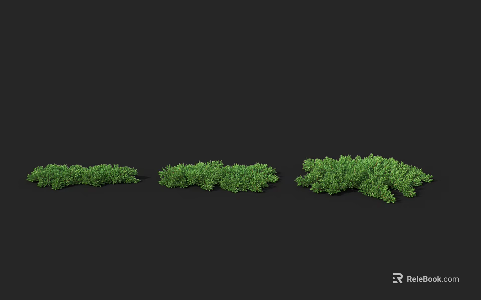 Three Green Shrubs of Different Sizes Arranged on Black Background 3d model 