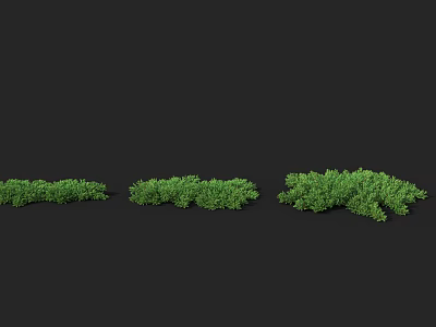 Three Green Shrubs of Different Sizes Arranged on Black Background 3d model