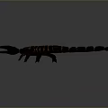 3D Rendered Dark Brown Scorpion With Claws Tail Stinger And Gray Gradient Background