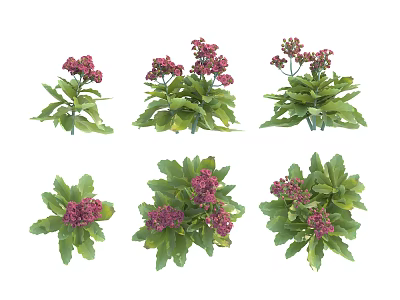 Various Garden Shrubs With Lush Green Leaves And Pink Flowers 3d model