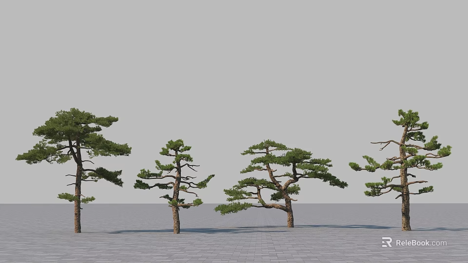 Various Form Pine Trees Standing On Gray Ground In Open Space 3d model 