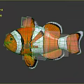 3D Designed Clownfish Sculpture With Orange White Black Stripes And Transparent Frame Support