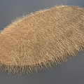 Light Brown Fuzzy Oval Shaped Grass Cluster On Gray Background Surface 3d model