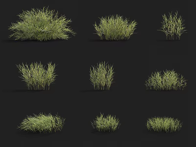 Various Types of Green Grass Clumps With Natural Growth Patterns On Black Background 3d model