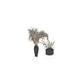 Natural Dried Plant Decorative Arrangement with Pampas Grass and Wheat in Gray Vases