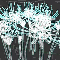 Colorful Spider Lily Flowers With Various Vibrant Colors And Green Stems