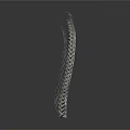 Silver Curved Spine Organ With Hair like Structures And Ring Shaped Segments