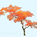 Arbor With Orange Red Leaves And Elegant Slender Trunk In Autumn Light Blue Background