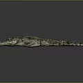 Realistic Lifelike Green Crocodile With Detailed Scaly Skin On Gray Background