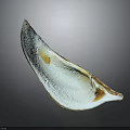 Beautiful Mollusk Shell Featuring White And Brown Hues On Black Surface