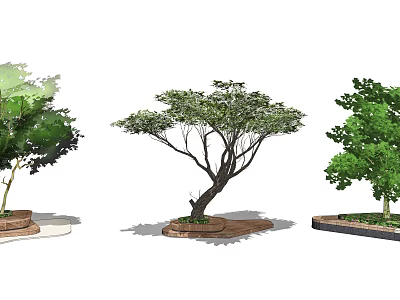 Various Arbor Trees with Curved Trunks and Lush Canopies in Landscape Design 3d model