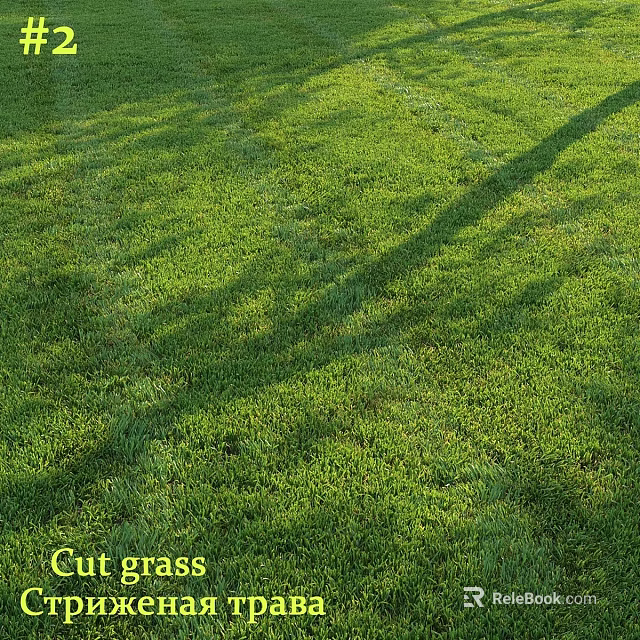 Decorative Ornament Set Arrangement Placed On Freshly Cut Green Grass Field 3d model 