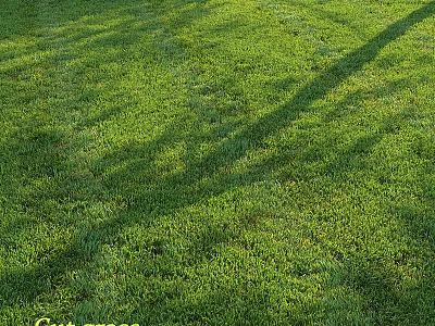 Decorative Ornament Set Arrangement Placed On Freshly Cut Green Grass Field 3d model