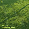 Decorative Ornament Set Arrangement Placed On Freshly Cut Green Grass Field
