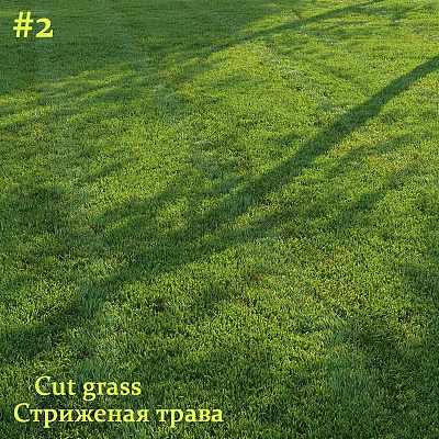Decorative Ornament Set Arrangement Placed On Freshly Cut Green Grass Field 3d model