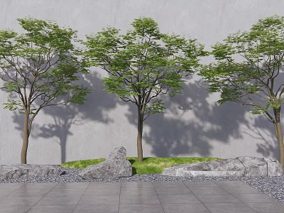 Three Lush Trees with Green Grass Stones and Shadows on Gray Wall Stone Pavement 3d model
