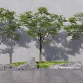 Three Lush Trees with Green Grass Stones and Shadows on Gray Wall Stone Pavement
