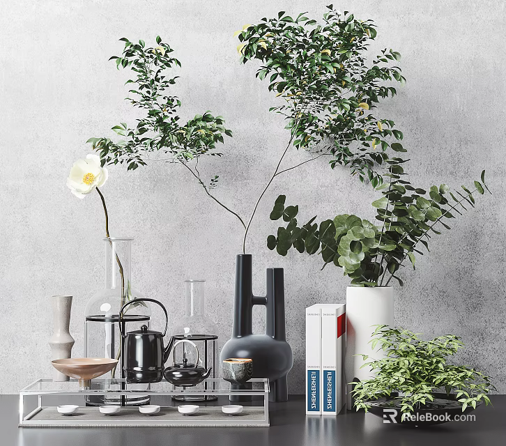 Modern Decorative Ornament Combination With Green Plants Glass Vases And White Flower 3d model 
