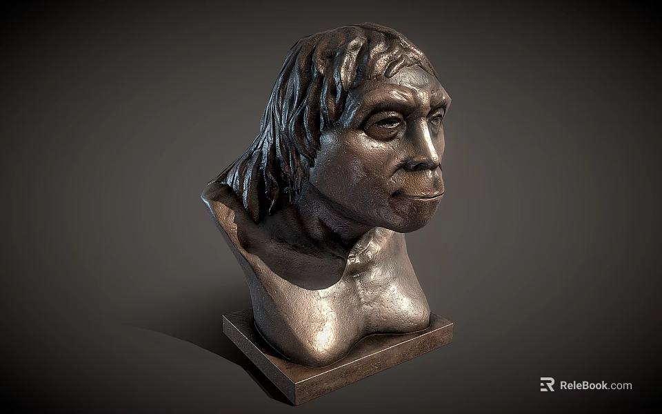 Bronze Human Bust Sculpture With Detailed Facial Features And Textured Hair On Square Wooden Base 3d model 
