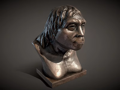 Bronze Human Bust Sculpture With Detailed Facial Features And Textured Hair On Square Wooden Base 3d model
