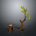 Tree with Green Leaves and Brown Trunk Beside Tree Stump with Roots