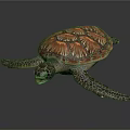 Brown and Orange Patterned Sea Turtle With Stretching Limbs On Dark Surface