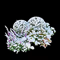 Snow Covered Garden Shrubs With Purple Flowers And Fresh Green Leaves