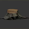 Natural Wooden Stump with Cut Section and Moss Covered Stone Base Texture