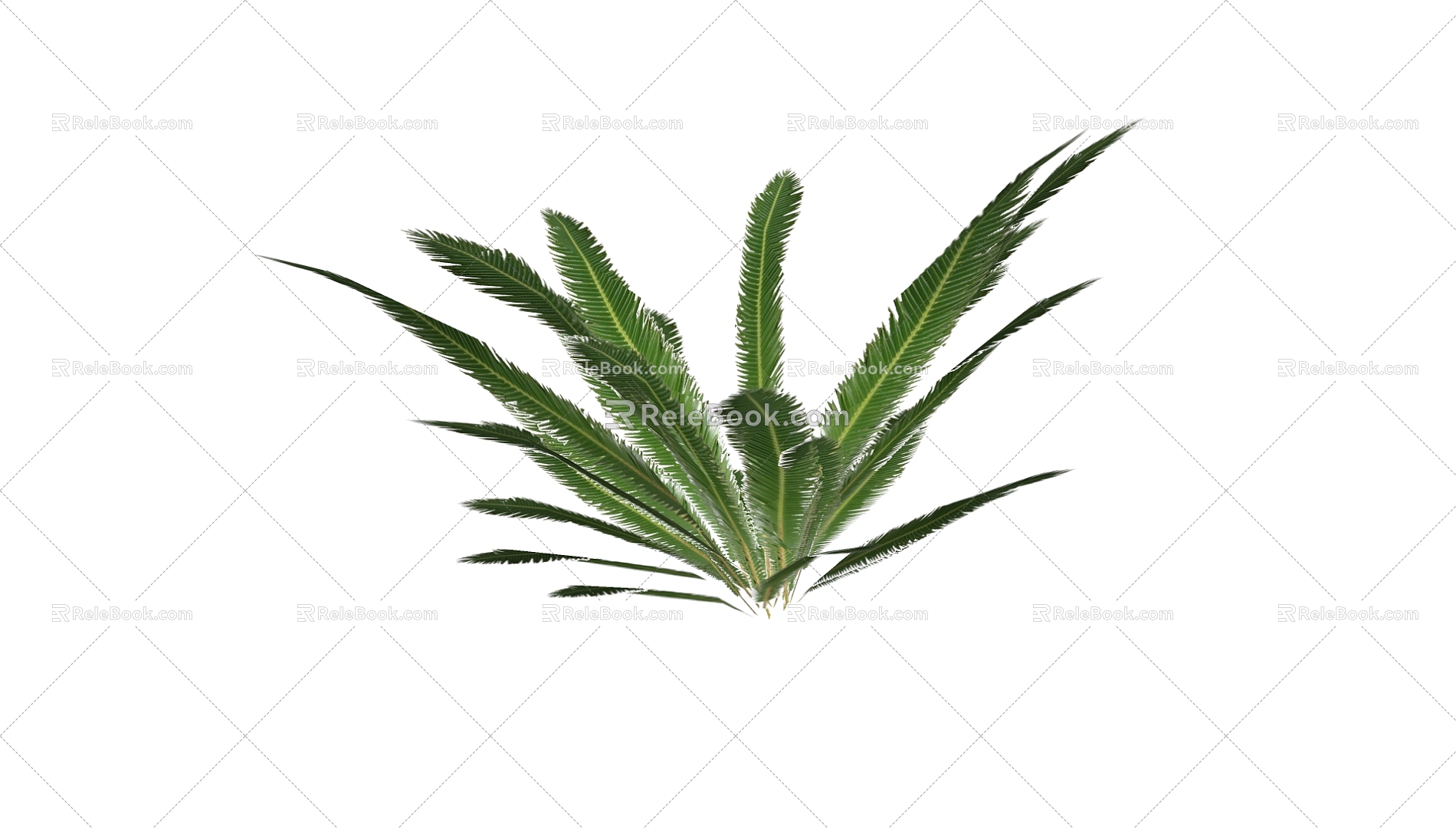 Plants 3d model