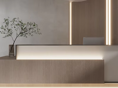 Modern Wooden Reception Desk With Light Strips And Green Plant Decoration 3d model