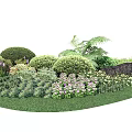 Lush Garden Landscaping Featuring Various Shrubs Ferns Colorful Flowers Green Lawn And Decorative Stone