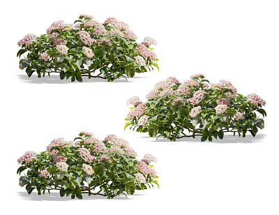 Clusters of Flowering Plants With Pink Blooms And Green Leaves In Natural Setting 3d model
