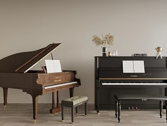 Piano Combination 3d model