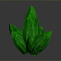 Green Leaf Shaped Crystal Structure With Glossy Surface And Black Background Reflection
