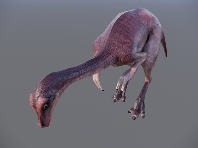 Dinosaur animals model