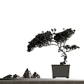 New Chinese Style Ornaments Bonsai Bonsai Iron Plant rockery 3d model