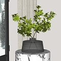 Green plant ornaments 3d model