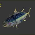 Blue Tuna With Green Iridescent Body Shiny Blue Scales Yellow Pink Fins And Open Mouth