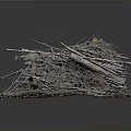Realistic Natural Scene Component With Twigs Soil And Green Moss