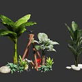 Decorative Floral Installation Featuring Green Plants Large Leaf Foliage Wooden Structure And Stones