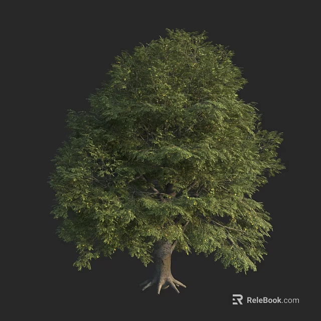 A Lush Green Tree with Thick Trunk and Dense Foliage Against Dark Background 3d model 