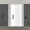Black White and Dark Gray Security Doors with Modern Design Features 3d model