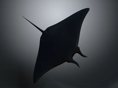 Black Manta Ray Aquatic Animal Swimming In Deep Ocean With Streamlined Body 3d model