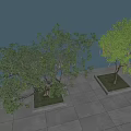Arbor Landscape Big Tree Hanging Light Atmosphere Light Landscape Light Star Light Wishing Tree Ancient Tree 3d model
