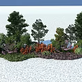 Lush Outdoor Flowers and Plants With Trees Shrubs and Vibrant Colored Blooms