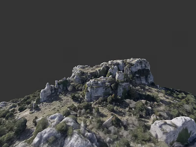 Natural Garden Landscape With Rocky Hill And Lush Green Vegetation Cover 3d model