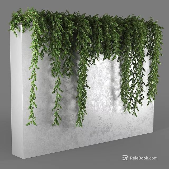 Lush Green Vines Hanging On Indoor White Concrete Wall Decoration 3d model 