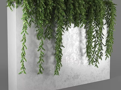 Lush Green Vines Hanging On Indoor White Concrete Wall Decoration 3d model